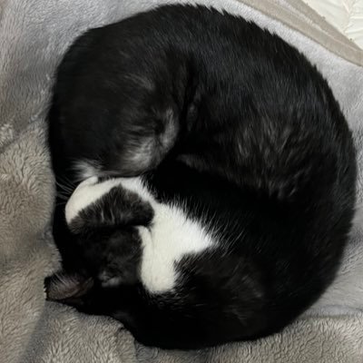 makaro_88's profile picture. 