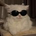 no context ivana's life🐈 (@cassi0peia__) Twitter profile photo no context ivana's life🐈 (@cassi0peia__) Twitter profile photo