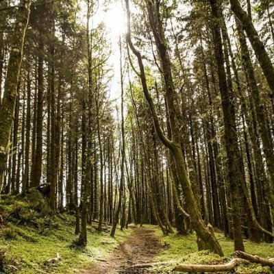 Suraj21011988's profile picture. 