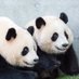 HELLO_PANDA BOOK (@hellopanda2017) Twitter profile photo HELLO_PANDA BOOK (@hellopanda2017) Twitter profile photo