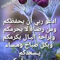 العراقي (@mhndkml9) 's Twitter Profile