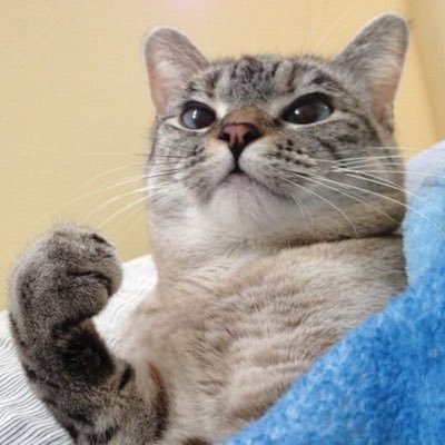 Seasone_One's profile picture. 