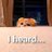 ana_laura_e's profile image