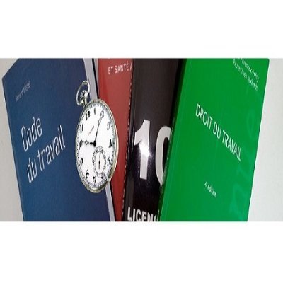 LMDDDTravail's profile picture. Ici, on parle de licenciement, de CDI, de CDD, d'embauche, de contrat de travail, de préavis, de sanction disciplinaire, de congés, de syndicat, d’inaptitude...