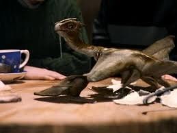 Potterdragon's profile picture. I am an adorable little norwegian ridgeback. Im not mean I wont hurt you ask mummy @KylsPenguinP @KylieWuvsWou and daddy @xAlbus_S_Potter @Lil_AlbusPotter