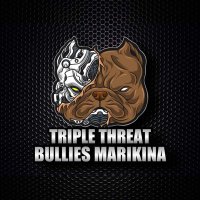 Triple Threat Bullies Marikina(@3threatbulliesM) 's Twitter Profile Photo