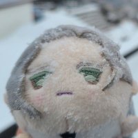 シウス (@shiu0aru) 's Twitter Profile