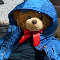 キッチンDIVE クマ代表 (@divemamuru) 's Twitter Profile Photo キッチンDIVE クマ代表 (@divemamuru) 's Twitter Profile Photo