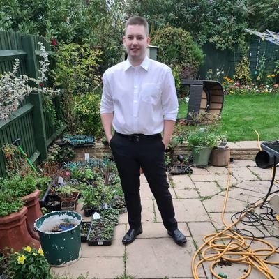 AWetTurtleHead's profile picture. 30 years old, likes F1, gaming and rock music.