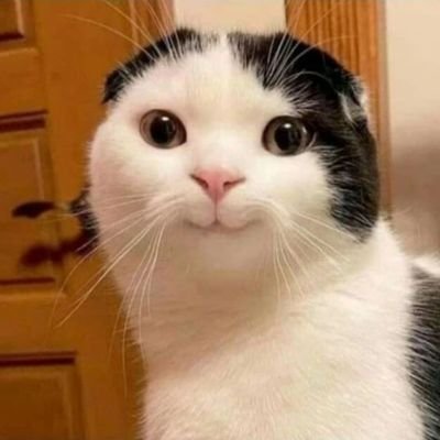 Tombowdual04's profile picture. 