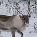 Ben Timperley - @ben_timperley - Twitter