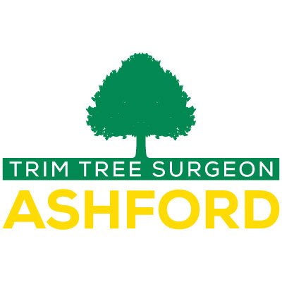 We are a family-owned and operated business that provides a high quality and affordable tree surgery service to the Ashford area.