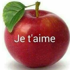 DelexJerome's profile picture. Très cool, très plaisant aussi. Educateur de profession,bachelier en droit juridique étudiant en éducation