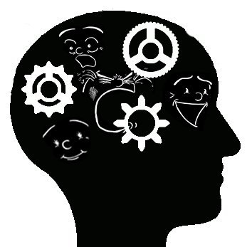 canlab_fsu's profile picture. Cognitive Affective Neuroscience Lab at Florida State University