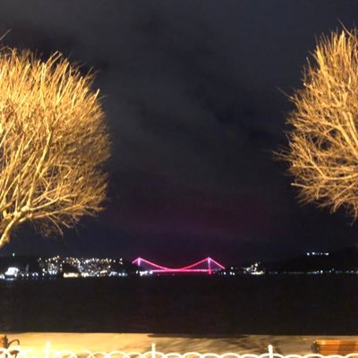 Marmara-Hemşirelik ☘️ KoronerYB❣️📚🎬🎶. Uçmanın da çoğu çırpınmak…