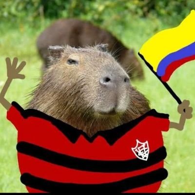 Lucca1721's profile picture. oi