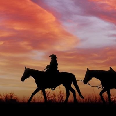 mdlnr559189462's profile picture. 