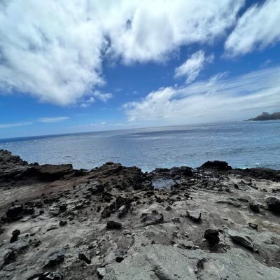 singer_finn's profile picture. 