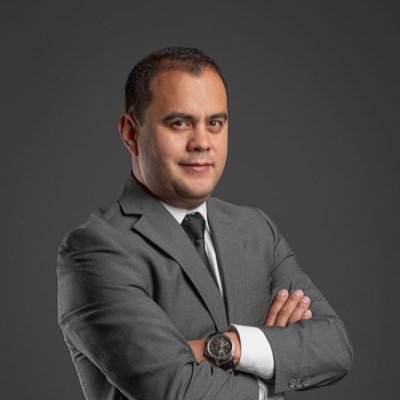 Consultor y desarrollador de sistemas de seguridad corporativa y personal para la industria empresarial. //Litigante en Materia de Derecho Penal.