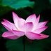 Susan Moore (@mooresusan00) Twitter profile photo Susan Moore (@mooresusan00) Twitter profile photo