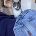 a (@ilovemycatjunie) Twitter profile photo a (@ilovemycatjunie) Twitter profile photo