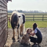 wisbechcommunityfarm (@wisbechcommuni1) 's Twitter Profile