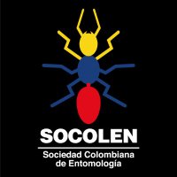 Socolen(@Socolen) 's Twitter Profile Photo