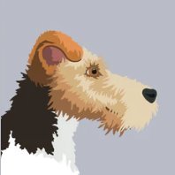 FMGiveMeTruth's profile picture. Summer gets hot