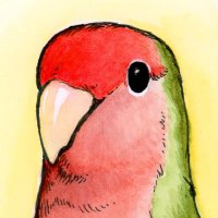 咖哩なんぽ(KABO Sketch) (@anpo_ekupo) 's Twitter Profile