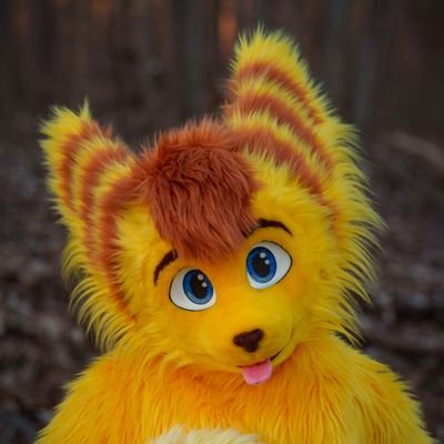 Lombax / Boombax 🧨/ 🇩🇪🏳‍🌈 / 24 / INFP-T / Pyrotechnician /🤿 🏹🎯

Analogue and digital photography 🎞📷 PENTAX-Photographer 

Fursuit by @whitewingsuits