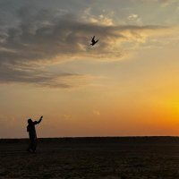 وليد بن عبدالله ⚖️ (@walld_) 's Twitter Profile