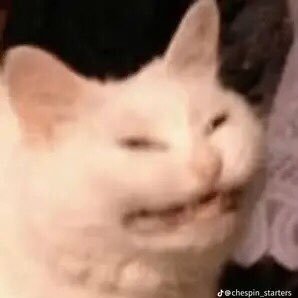 81Darkclaw's profile picture. Wanna do art.. Current Status: 20 Gay and a dumbass ._. { This is an 18+ account so, don’t follow me until you’re old enough }