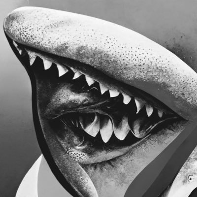jppachecoz's profile picture. keep moving forward 🦈