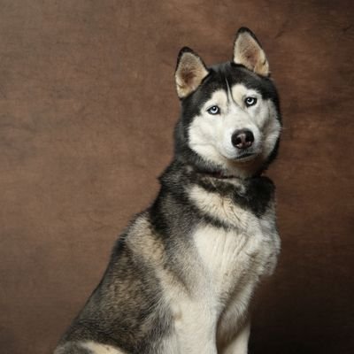 Nicow8883 Profile Picture