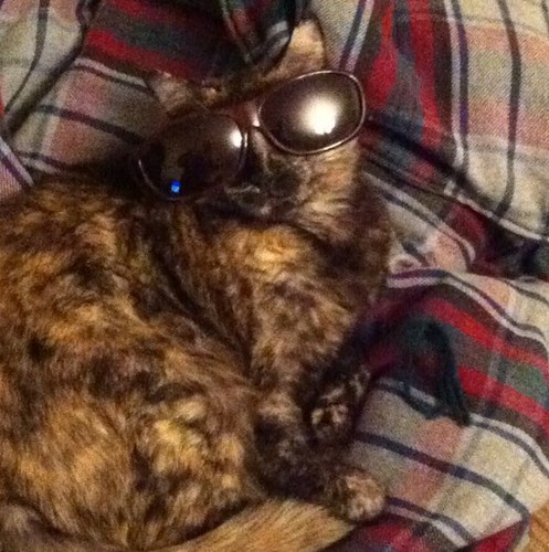 Originalname9's profile picture. 