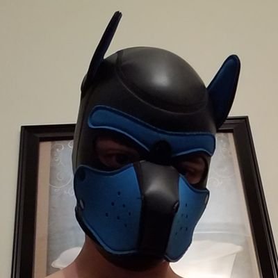 Just a horny switch pup enjoying the single life. 20 years old and I'm gay. Don't follow if you're under 18. 🏳️🌈🇵🇷 (boriqua and autistic)