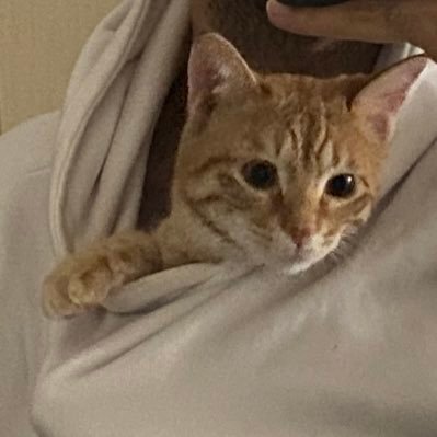 ittzvon's profile picture. apex player