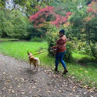 Dr Rachelle Barlow (@rachelle_barlow) 's Twitter Profile Photo Dr Rachelle Barlow (@rachelle_barlow) 's Twitter Profile Photo
