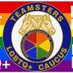 LGBTQ Caucus (@lgbtqteamsters) Twitter profile photo