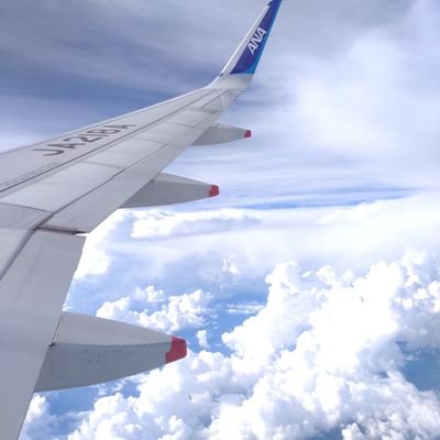 🌸日本人ファースト🌸🌸日本に生まれた幸福を次の世代にも伝えたいです☺️これからも良い国でありますように🌸