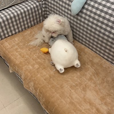 liufei5678's profile picture. sonic