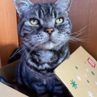 rootcue (@rootcue) 's Twitter Profile