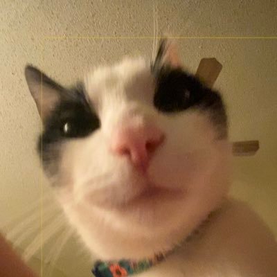 Adamさんのプロフィール画像
