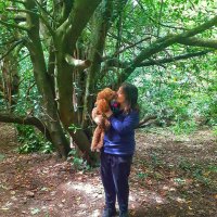 Skye Guy - he's a fly guy and mumma Lynne (@lynnemclelland1) 's Twitter Profile