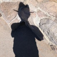 Alex (@alex75235146) 's Twitter Profile