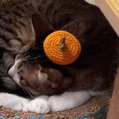 _epiphyllum0222's profile picture. 20y⬆️
TL會出現的東西有以下
▪︎kaito💙
▪︎戀與深空
▪︎阿萬
▪︎プロセカ
▪︎ギヴン
▪︎佐々木と宮野
▪︎各種劇情向遊戲
轉推/愛心/追蹤/交友皆可