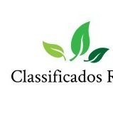 Rural Classificados vem até você produtor rural e interessados levar informações de todo Brasil em relação ao Agronegócio.