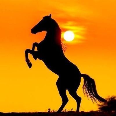 jianl44661456's profile picture. Also nsjsk