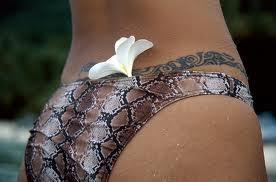 Tattoos02's profile picture. All You Need To Know About Tattoo