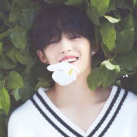⸙ (@intocoups) 's Twitter Profile